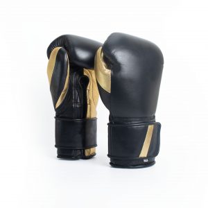 Boxing Gloves - Black/Gold