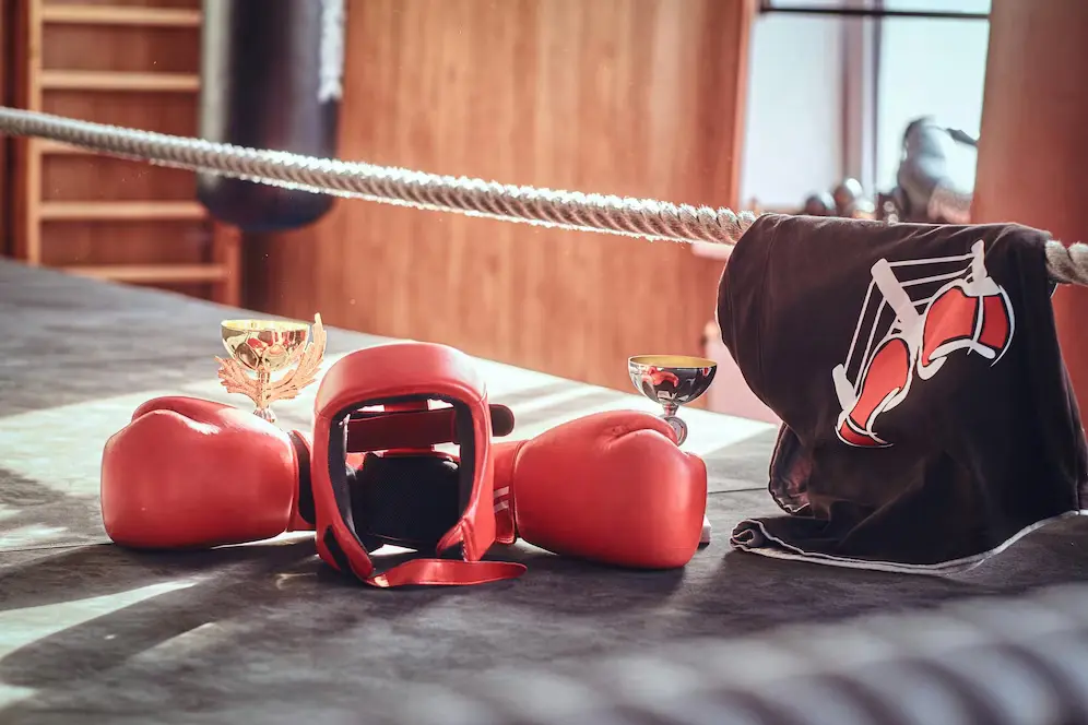 Boxing Gear