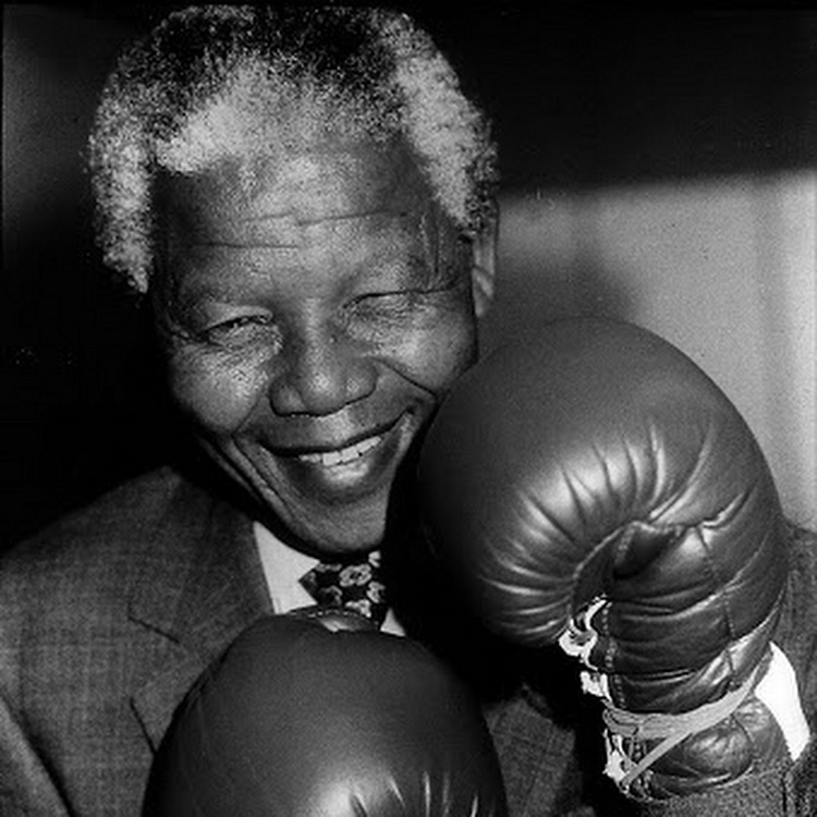 nelson mandela boxer